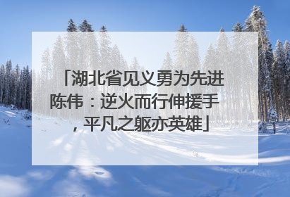 湖北省见义勇为先进陈伟：逆火而行伸援手，平凡之躯亦英雄