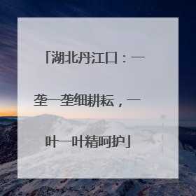 湖北丹江口：一垄一垄细耕耘，一叶一叶精呵护