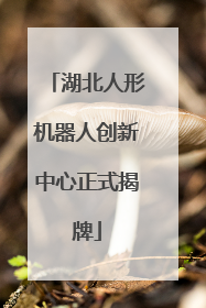 湖北人形机器人创新中心正式揭牌