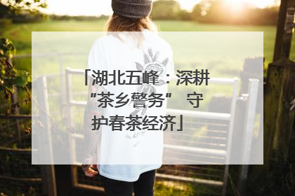 湖北五峰：深耕“茶乡警务” 守护春茶经济