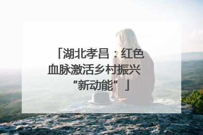 湖北孝昌：红色血脉激活乡村振兴“新动能”