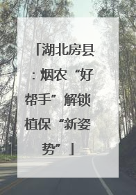 湖北房县：烟农“好帮手”解锁植保“新姿势”