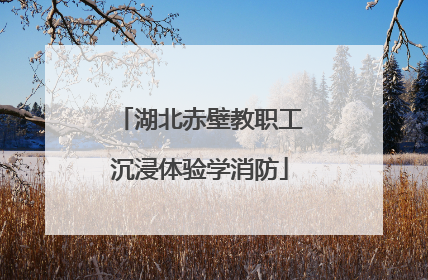 湖北赤壁教职工沉浸体验学消防
