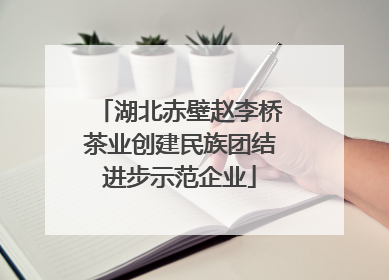 湖北赤壁赵李桥茶业创建民族团结进步示范企业