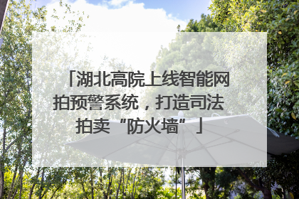 湖北高院上线智能网拍预警系统，打造司法拍卖“防火墙”