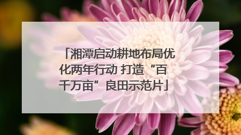 湘潭启动耕地布局优化两年行动 打造“百千万亩”良田示范片