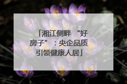 湘江侧畔 “好房子”：央企品质引领健康人居