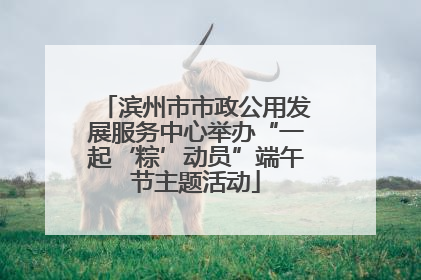 滨州市市政公用发展服务中心举办“一起‘粽’动员”端午节主题活动