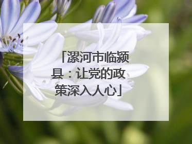 漯河市临颍县：让党的政策深入人心