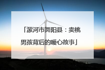 漯河市舞阳县：卖桃男孩背后的暖心故事