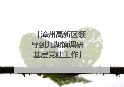 漳州高新区领导到九湖镇调研基层党建工作