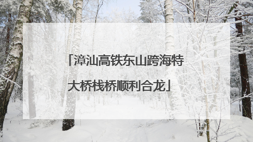 漳汕高铁东山跨海特大桥栈桥顺利合龙