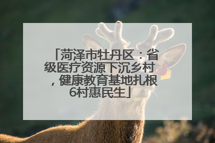 菏泽市牡丹区:省级医疗资源下沉乡村,健康教育基地扎根6村惠民生