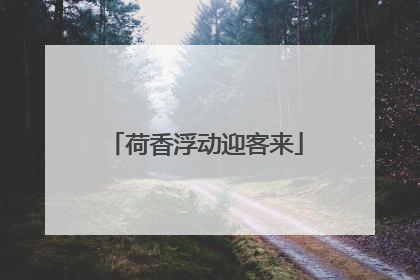 荷香浮动迎客来