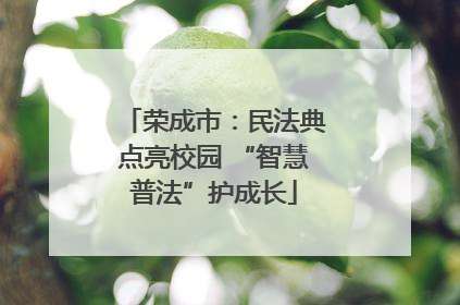 荣成市：民法典点亮校园 “智慧普法”护成长