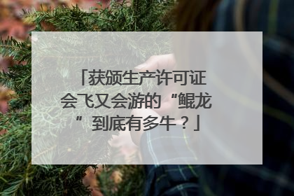 获颁生产许可证 会飞又会游的“鲲龙”到底有多牛？