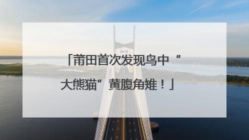 莆田首次发现鸟中“大熊猫”黄腹角雉！