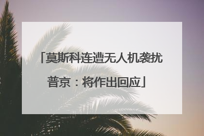 莫斯科连遭无人机袭扰 普京：将作出回应