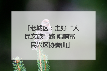 老城区：走好“人民文旅”路 唱响富民兴区协奏曲