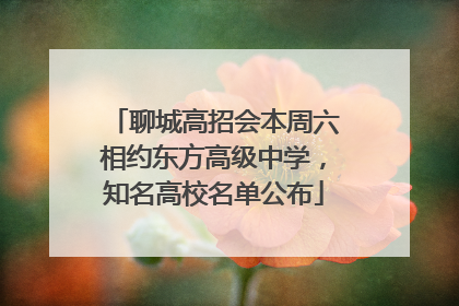聊城高招会本周六相约东方高级中学，知名高校名单公布