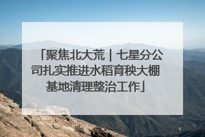 聚焦北大荒｜七星分公司扎实推进水稻育秧大棚基地清理整治工作
