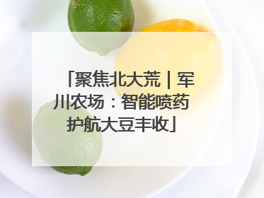 聚焦北大荒｜军川农场：智能喷药护航大豆丰收