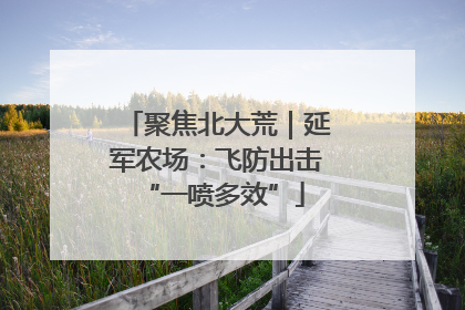 聚焦北大荒｜延军农场：飞防出击 “一喷多效”
