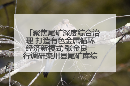 聚焦尾矿深度综合治理 打造有色金属循环经济新模式 张金良一行调研栾川县尾矿库综合治理工作