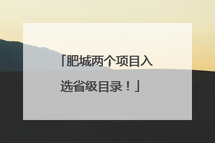肥城两个项目入选省级目录！