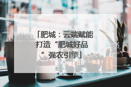 肥城：云端赋能 打造“肥城好品”强农引擎