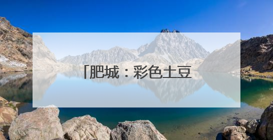肥城：彩色土豆喜丰收，致富路上好“彩头”