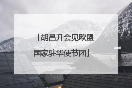 胡昌升会见欧盟国家驻华使节团