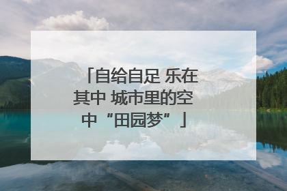 自给自足 乐在其中 城市里的空中“田园梦”