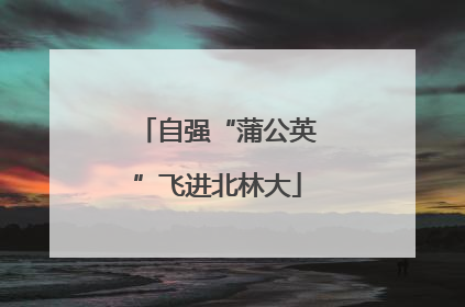 自强“蒲公英”飞进北林大