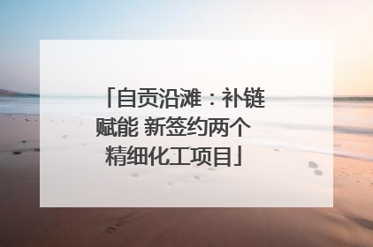 自贡沿滩：补链赋能 新签约两个精细化工项目