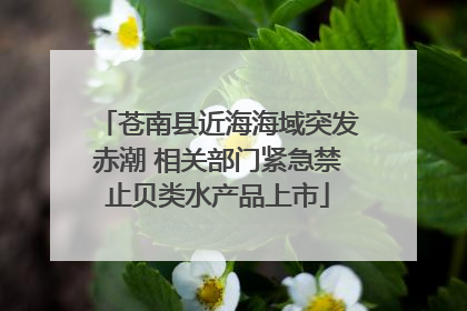 苍南县近海海域突发赤潮 相关部门紧急禁止贝类水产品上市