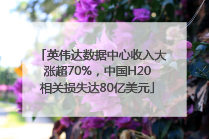 英伟达数据中心收入大涨超70%，中国H20相关损失达80亿美元