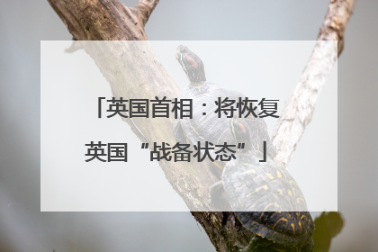 英国首相：将恢复英国“战备状态”