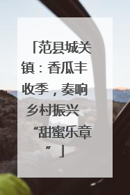 范县城关镇：香瓜丰收季，奏响乡村振兴 “甜蜜乐章”