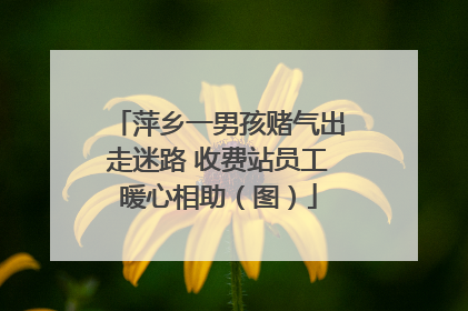 萍乡一男孩赌气出走迷路 收费站员工暖心相助（图）