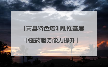萧县特色培训助推基层中医药服务能力提升