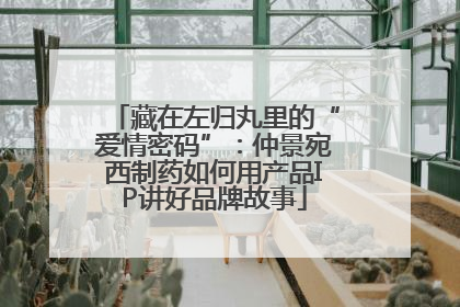 藏在左归丸里的“爱情密码”：仲景宛西制药如何用产品IP讲好品牌故事
