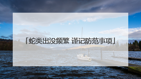 蛇类出没频繁 谨记防范事项