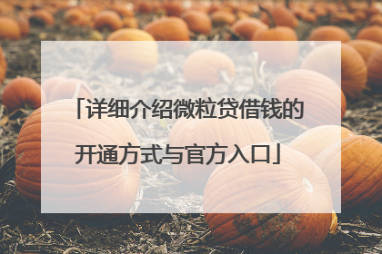 详细介绍微粒贷借钱的开通方式与官方入口