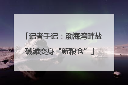 记者手记：渤海湾畔盐碱滩变身“新粮仓”