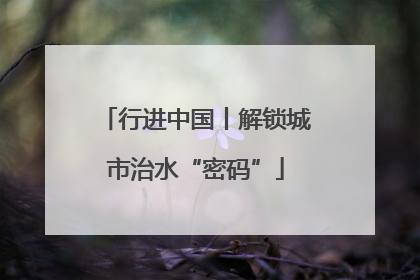 行进中国丨解锁城市治水“密码”