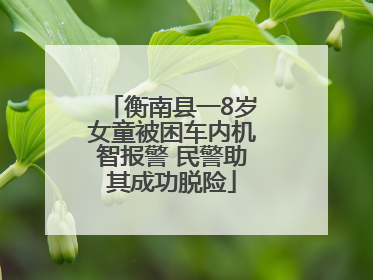衡南县一8岁女童被困车内机智报警 民警助其成功脱险