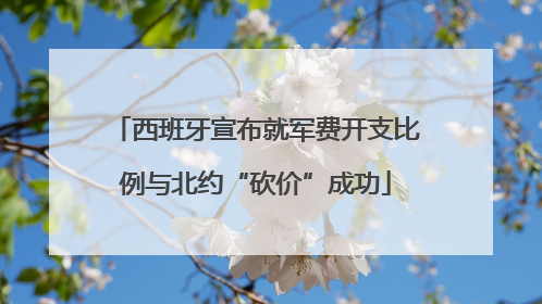西班牙宣布就军费开支比例与北约“砍价”成功