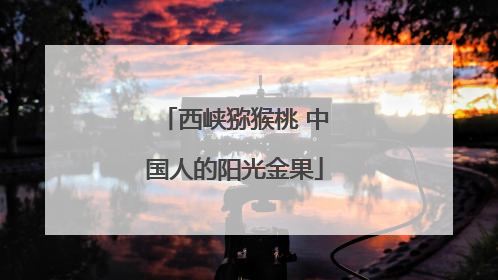 西峡猕猴桃 中国人的阳光金果