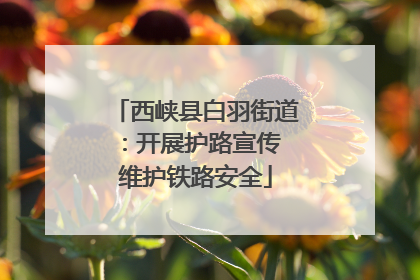 西峡县白羽街道：开展护路宣传 维护铁路安全